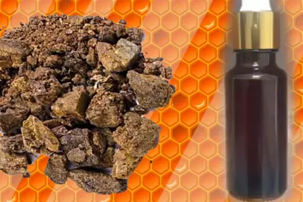 Propolis Nedir? Ne İşe Yarar? Nasıl Kullanılır?